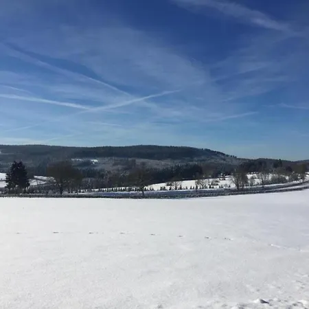 Captivating In Halenfeld With Terrace