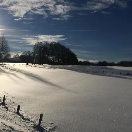 In Halenfeld-amel With Terrace 아파트 암브레브