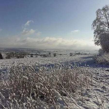 아파트 In Halenfeld-amel With Terrace 암브레브