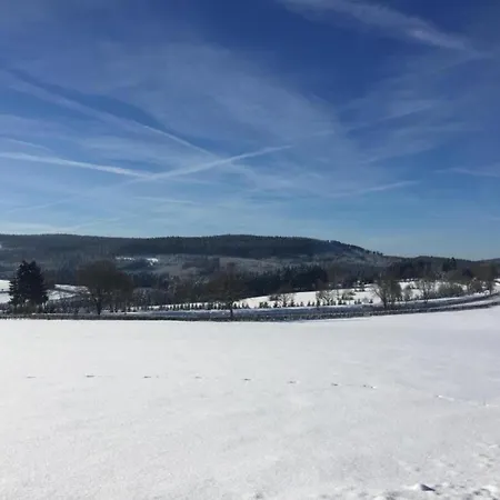 아파트 In Halenfeld-amel With Terrace *