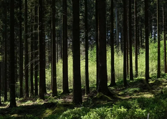 In Halenfeld-amel With Terrace 아파트