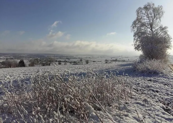 아파트 In Halenfeld-amel With Terrace 암브레브