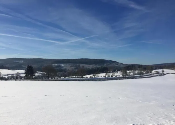 Apartament In Halenfeld-amel With Terrace *