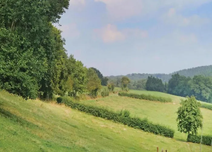 Apartament In Halenfeld-amel With Terrace Amblève